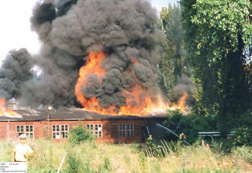 sorb1.jpg (25689 Byte)