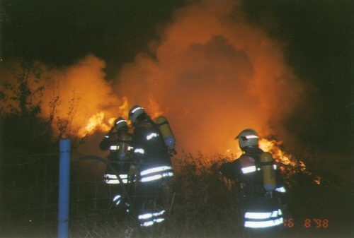 luthstei1.jpg (23870 Byte)